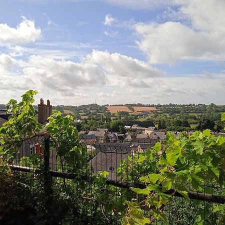 Charming Detached 2 Bedroom Ancient House In Medieval Quarter Of A Small Town In The Pays De La Loire, France Sillé-le-Guillaume Kültér fotó