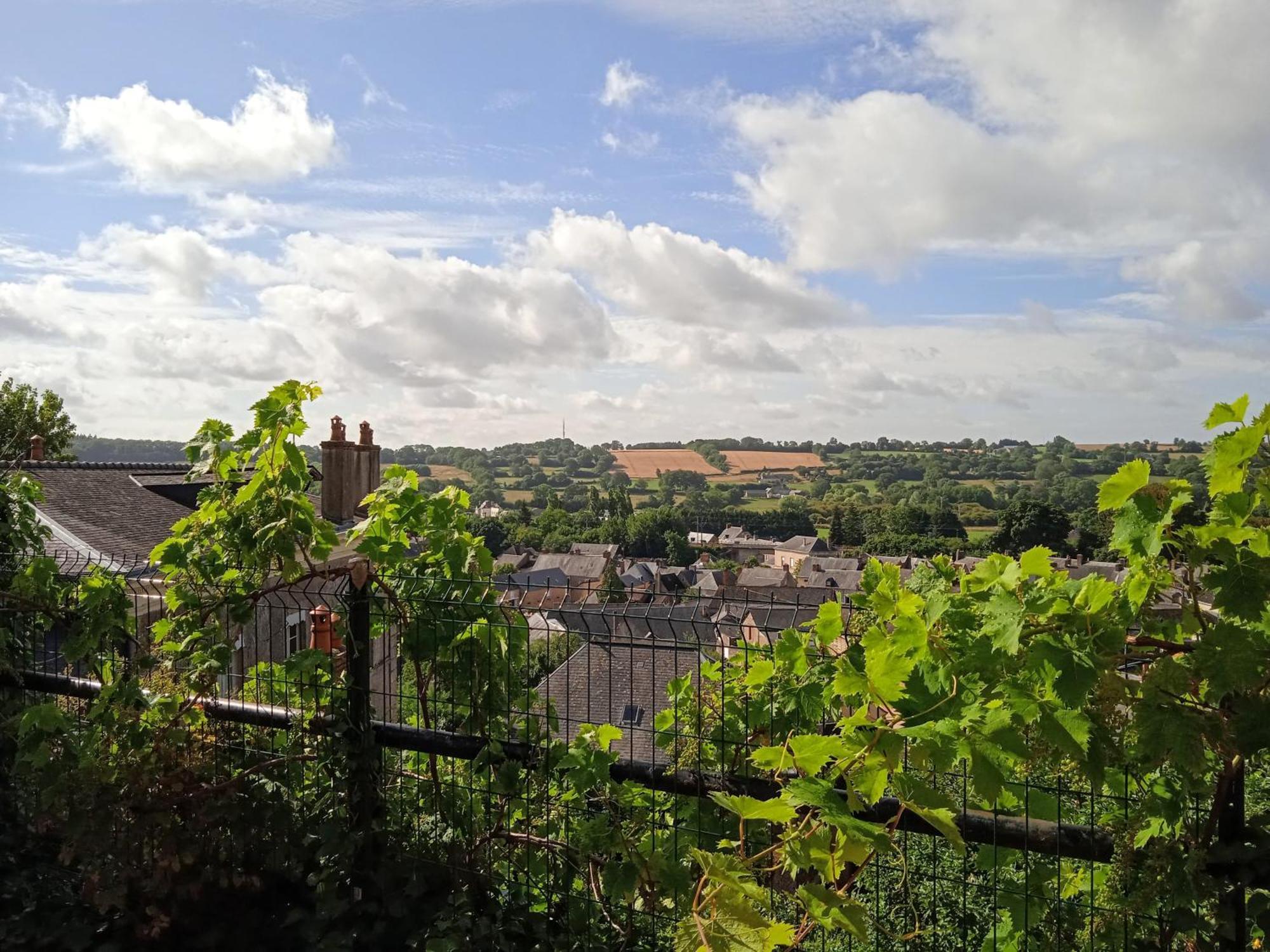 Charming Detached 2 Bedroom Ancient House In Medieval Quarter Of A Small Town In The Pays De La Loire, France Sillé-le-Guillaume Kültér fotó